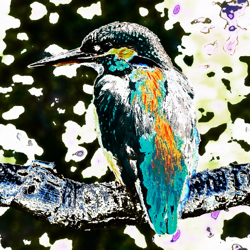 Variation 7