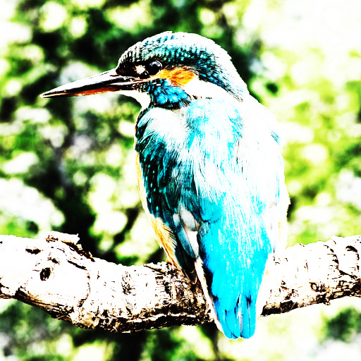 Variation 8