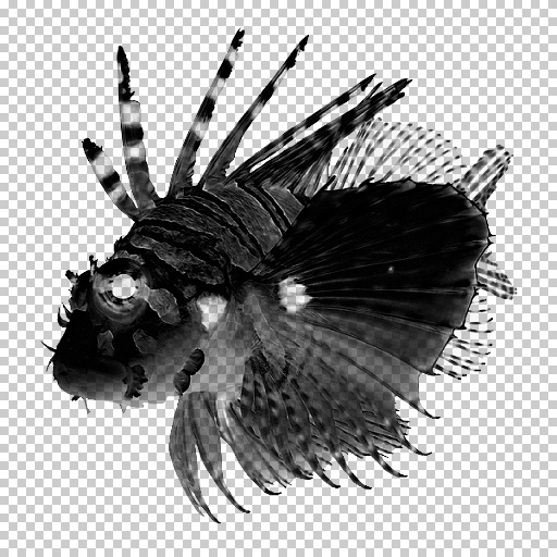 Variation 1