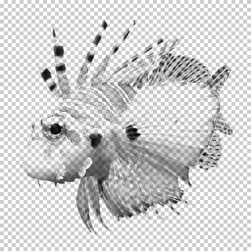 Variation 3