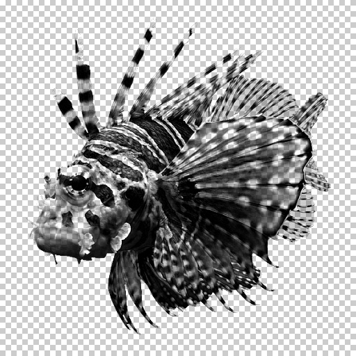 Variation 5