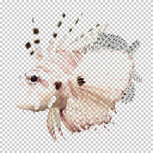 Variation 6