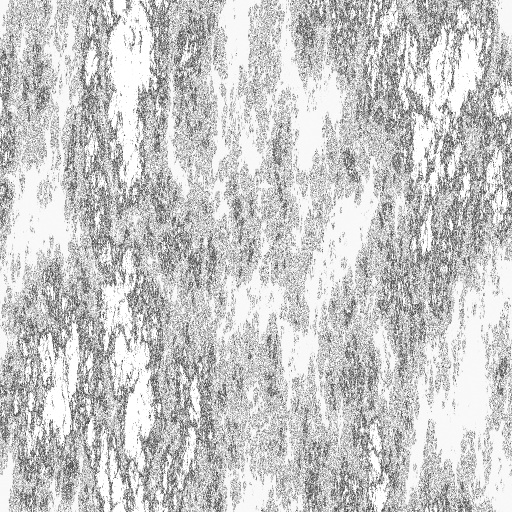 Bump Map
