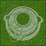 Crop Circles