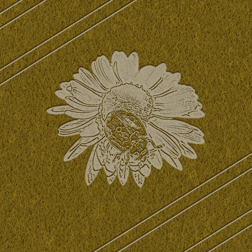 Variation 8