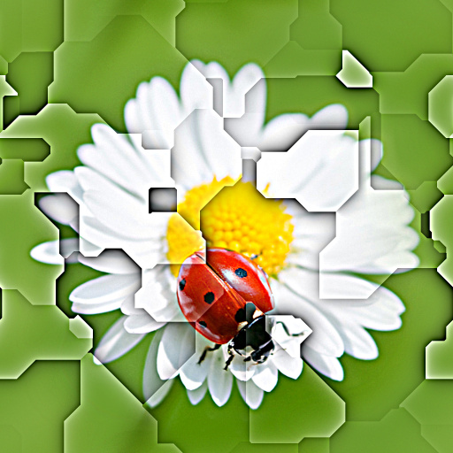 Diffuse Map