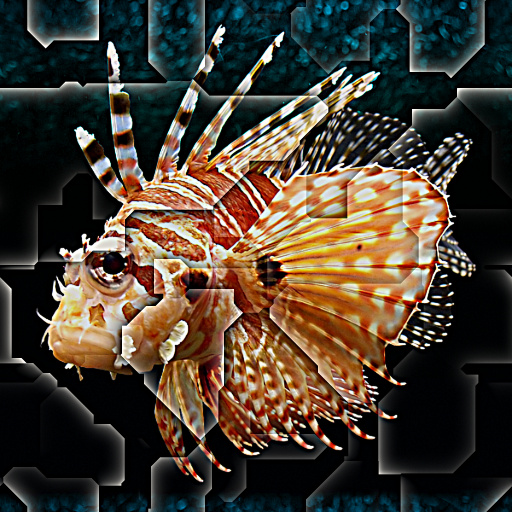 Variation 1