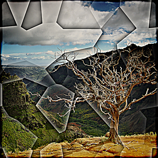 Variation 2