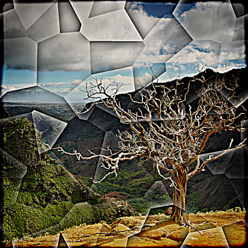 Variation 5