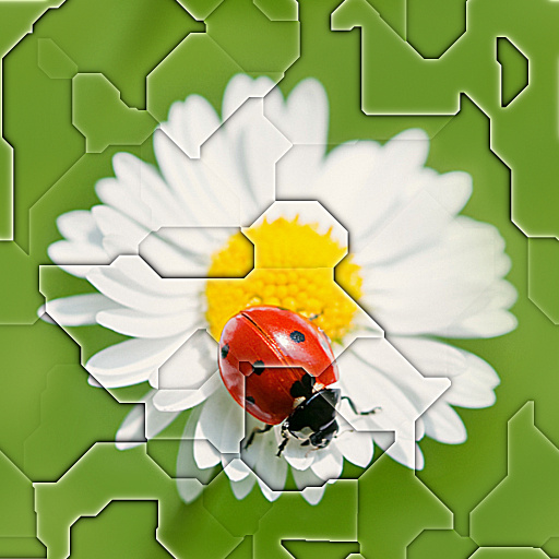 Variation 6