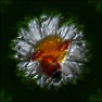 R&B Music Filter ( The Poisoned Ladybug )