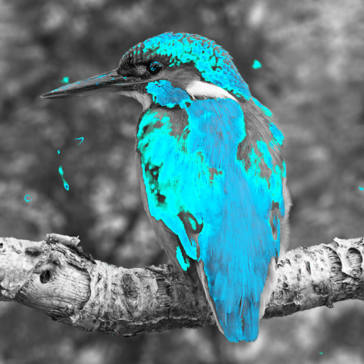 Variation 7