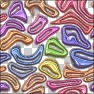 Colorful Distorted Loops & Rectangles