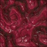 Tissue Lession