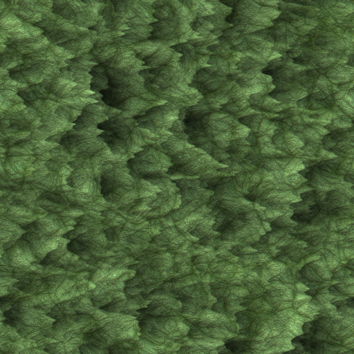 Variation 5