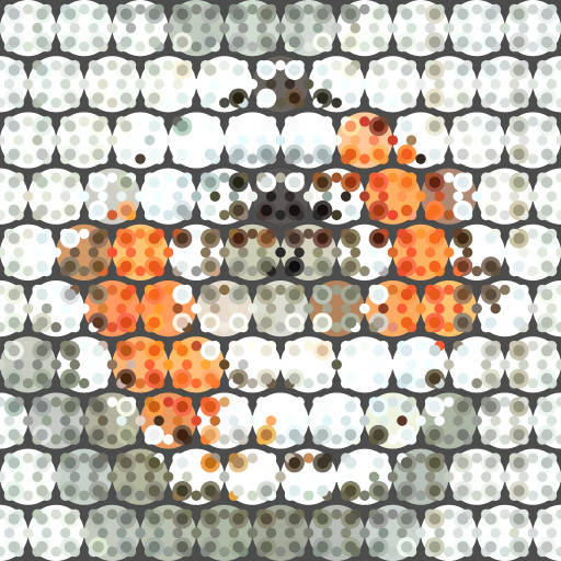 Variation 6