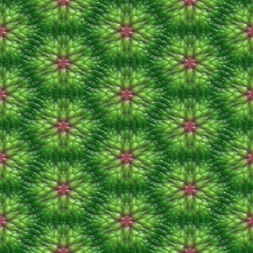 Variation 6