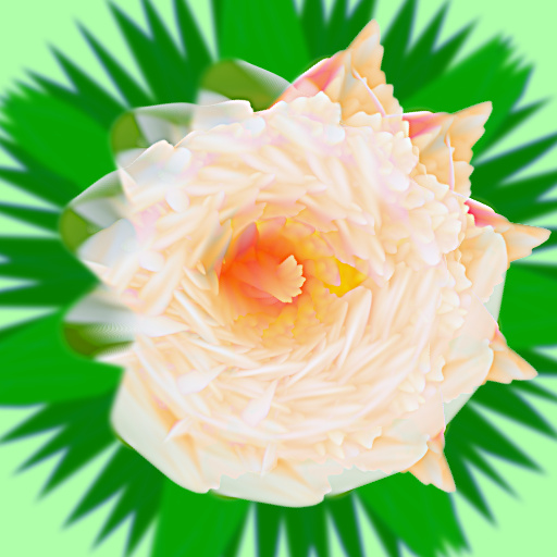 Variation 4