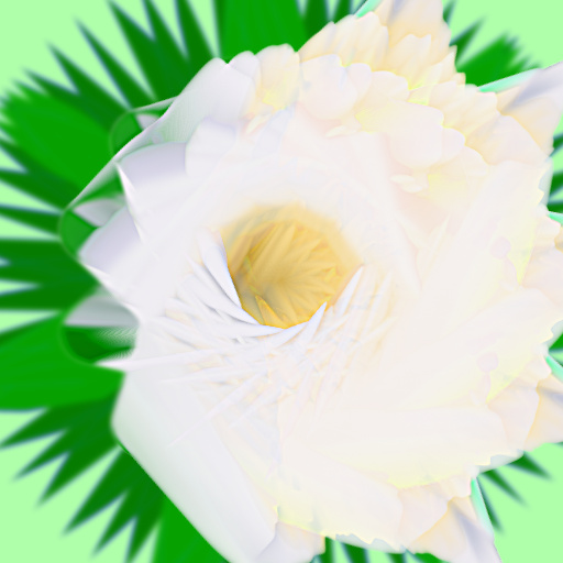 Variation 6