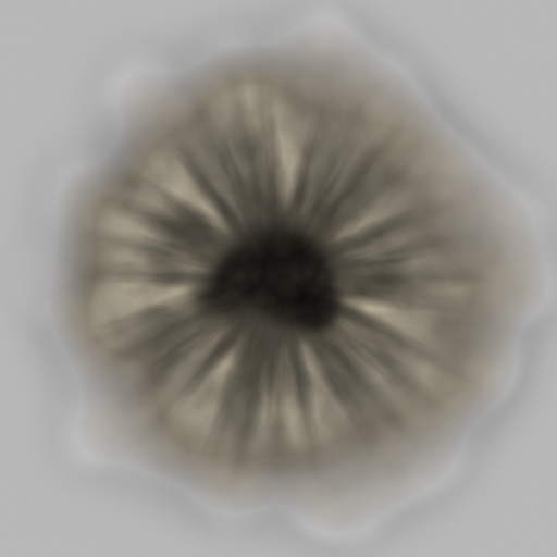 Diffuse Map