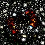 Microcosmos 3D