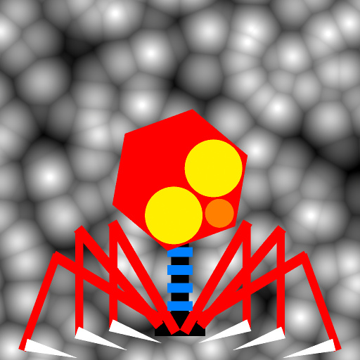 Variation 3