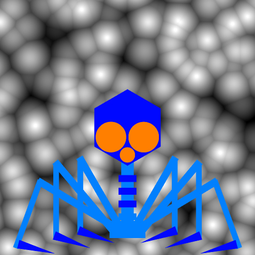 Variation 5