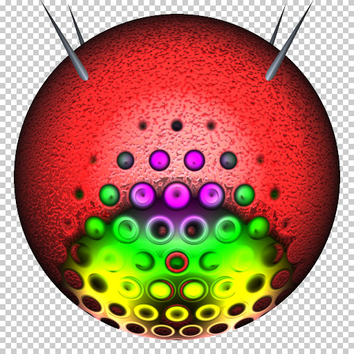 Variation 4