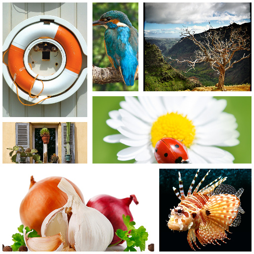 Auto Collage V0.3 (Effect)