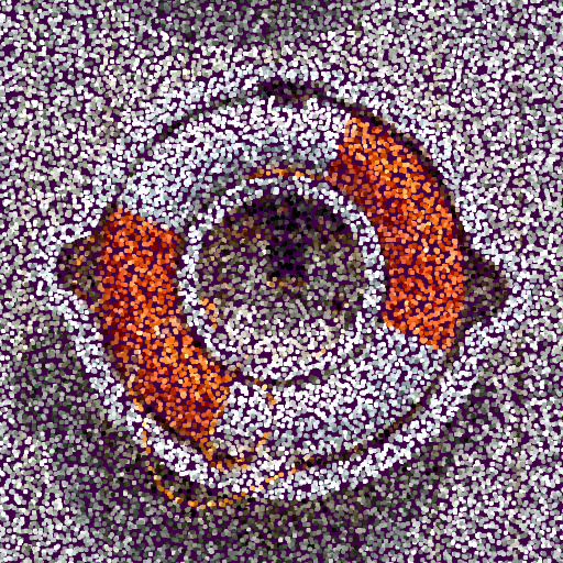 Variation 5
