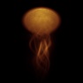 Glowing Scyphozoa