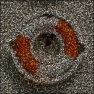 Nematoda - A World Full Of Worms