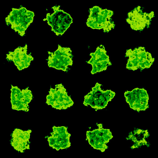 Variation 3