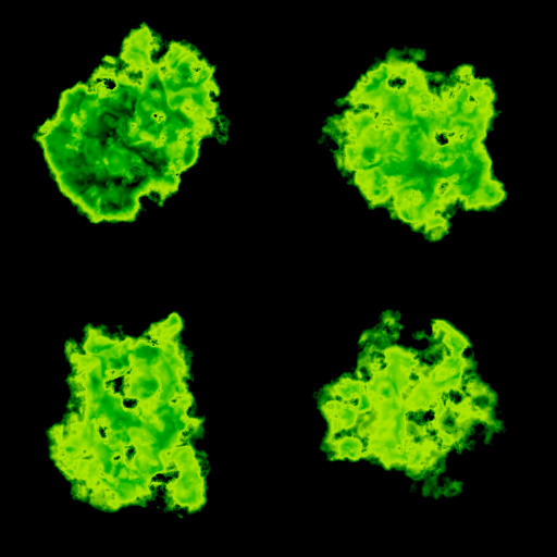 Variation 4