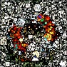Polygonal Microcosmos