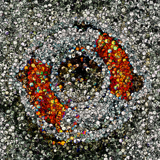 Variation 7