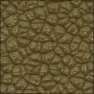 Dinoskin