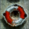 Painting in the Night 2