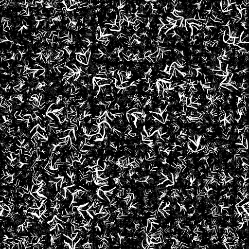 Variation 5
