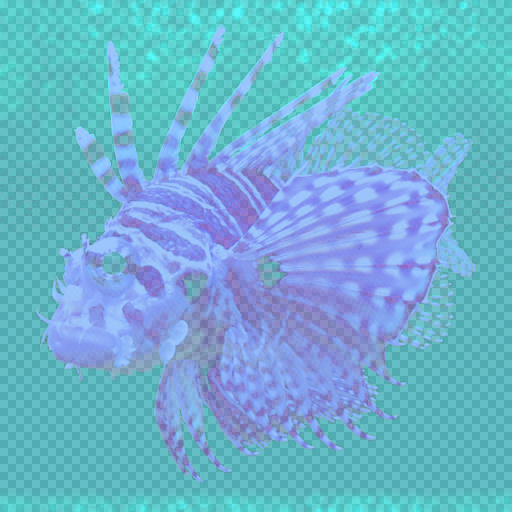 Variation 7