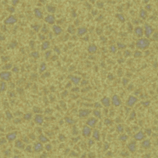 Diffuse Map