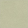 Cloth