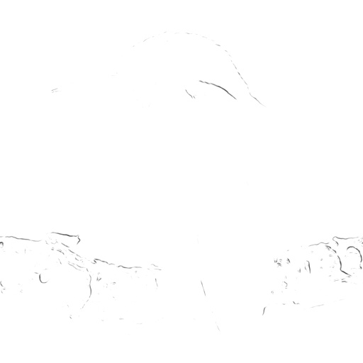 Reflective Occlusion Map