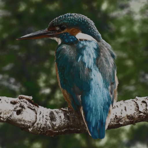 Variation 4