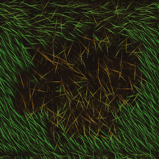 Variation 7