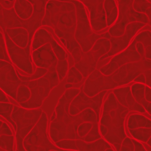 Diffuse Map