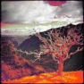 OCD Gradient Map Designer
