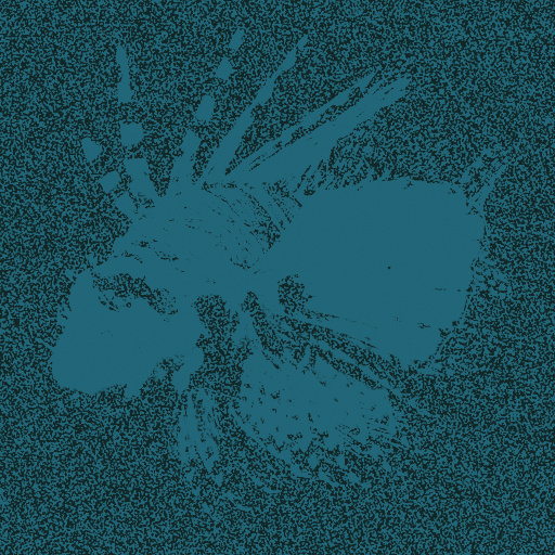 Variation 5