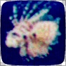 CRT Monitor filter #764