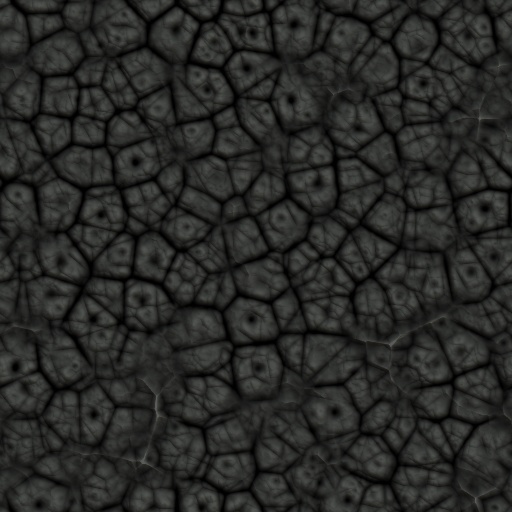 Variation 7